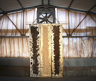 9th June 2014 <br> DDN