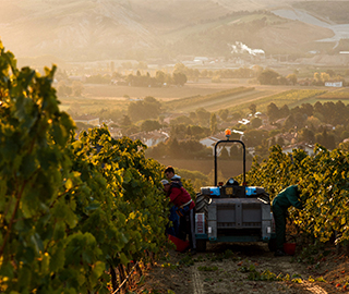 07th April 2022 <br> Inside Wine