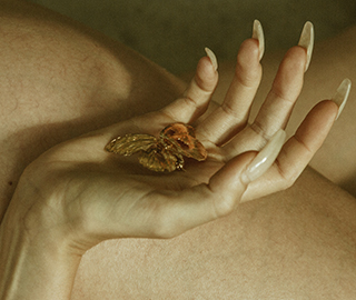 8th July 2022 <br> Collection Magazine