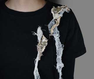 8th Oct 2022<br>Buongiorno Online