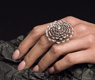 12th December 2022 <br> Gruppo Duplex