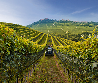 25th January 2023 <br> Bere il vino