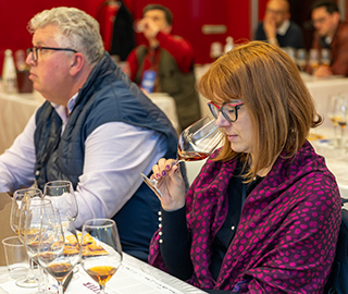 23rd May 2023 <br> Focus Online