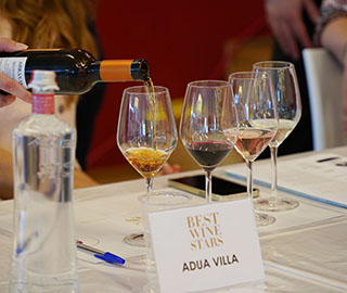 15th May 2023 <br> Mincio&Dintorni