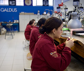 20th December 2023 <br> Vivo di Lusso