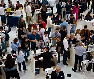 8th May 2024 <br> Il Giorno