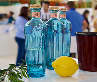 13th November 2024 <br> 101 NEWS