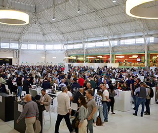 17th November 2024 <br> Cronache di Bari