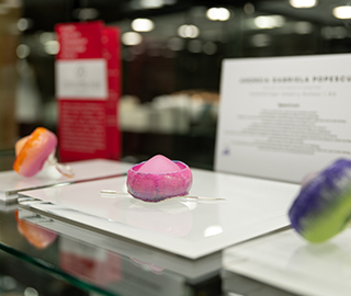 November 2024 <br> Aurum Forum