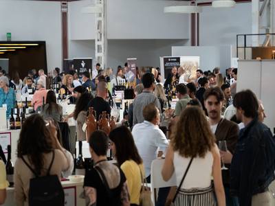 22th May 2025 <br> Zazoom