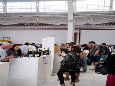 31th May 2025 <br> Web Lombardia