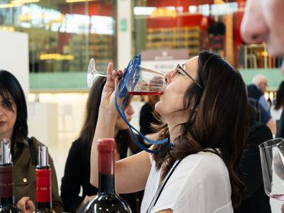 17th November 2024 <br> Notizie di