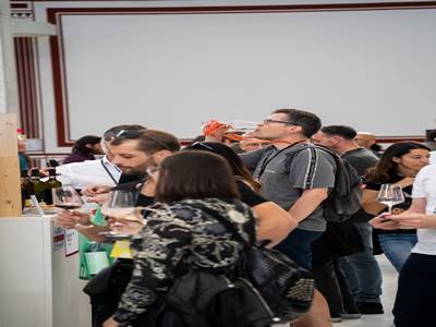 18th May 2025 <br> Tg events